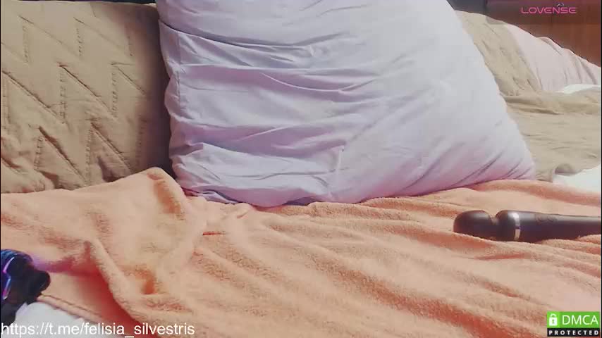 felisia_silvestris Adult Chat November 12, 2025