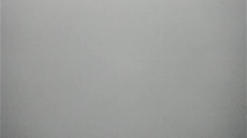 synop_sis Adult Chat November 12, 2025