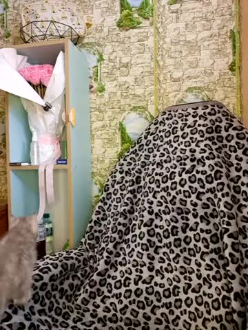 Miss_tits2025 Adult Chat November 12, 2025