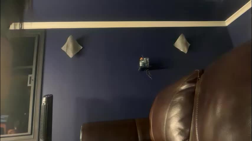 avaowenss Adult Chat November 13, 2025