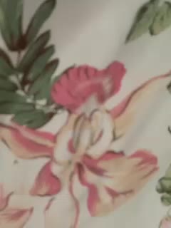 Anesteishen Adult Chat November 13, 2025