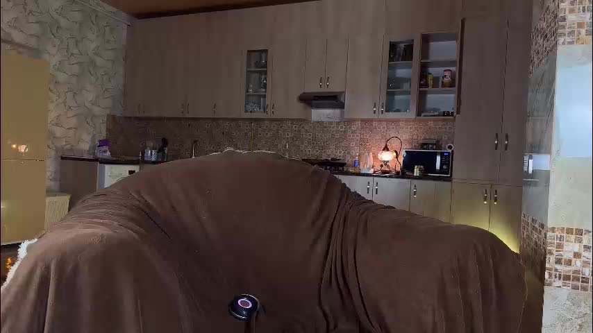 erectioneeering Adult Chat November 13, 2025