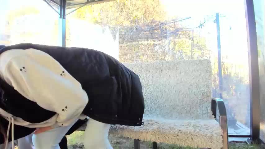 devileanna Adult Chat November 13, 2025