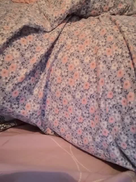 Napoliana Adult Chat November 13, 2025