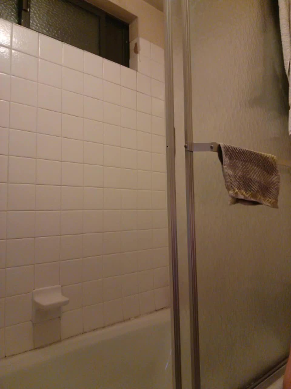 PrurientGem Adult Chat November 13, 2025