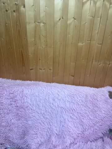 nemesidaM Adult Chat November 13, 2025