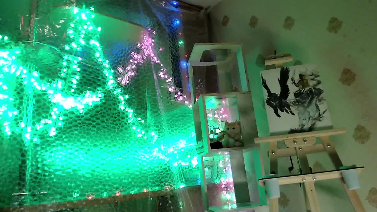 Yrriel_Autist Adult Chat November 13, 2025