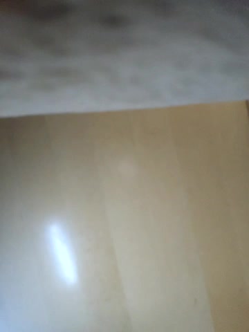 Flo_Sandra Adult Chat November 13, 2025