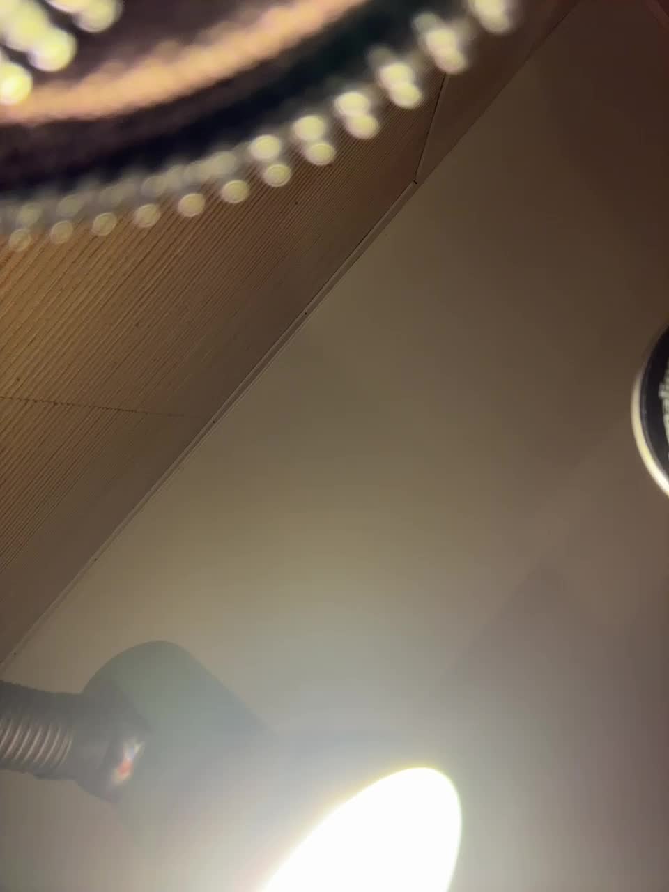 Wow-Eva Adult Chat November 13, 2025