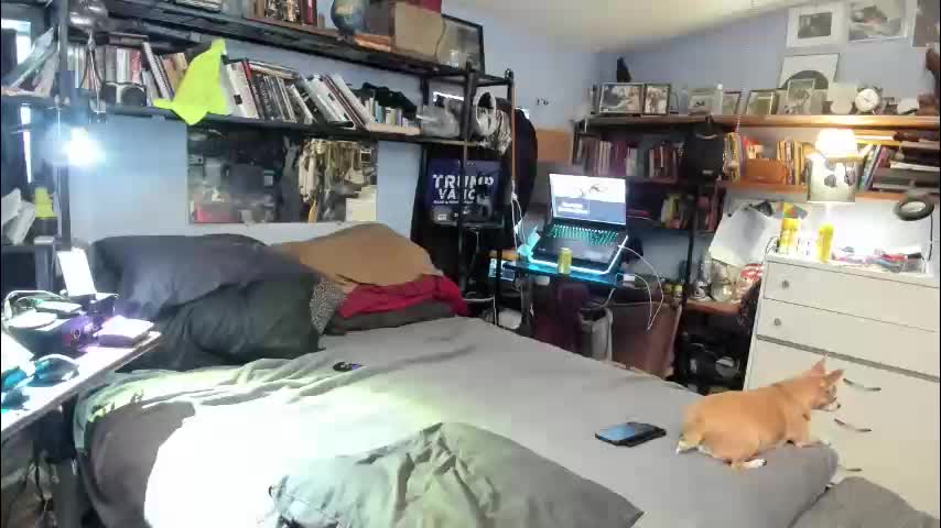 pink_black Adult Chat November 13, 2025