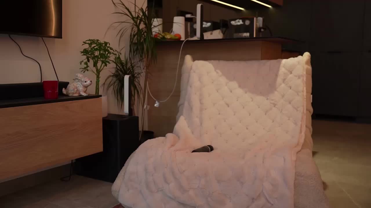 blackvelveet Adult Chat November 14, 2025