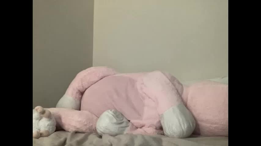 stassiethatsororitygirl Adult Chat November 13, 2025