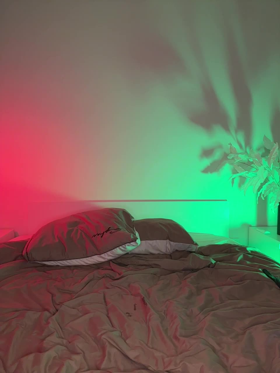 66wo99 Adult Chat November 14, 2025