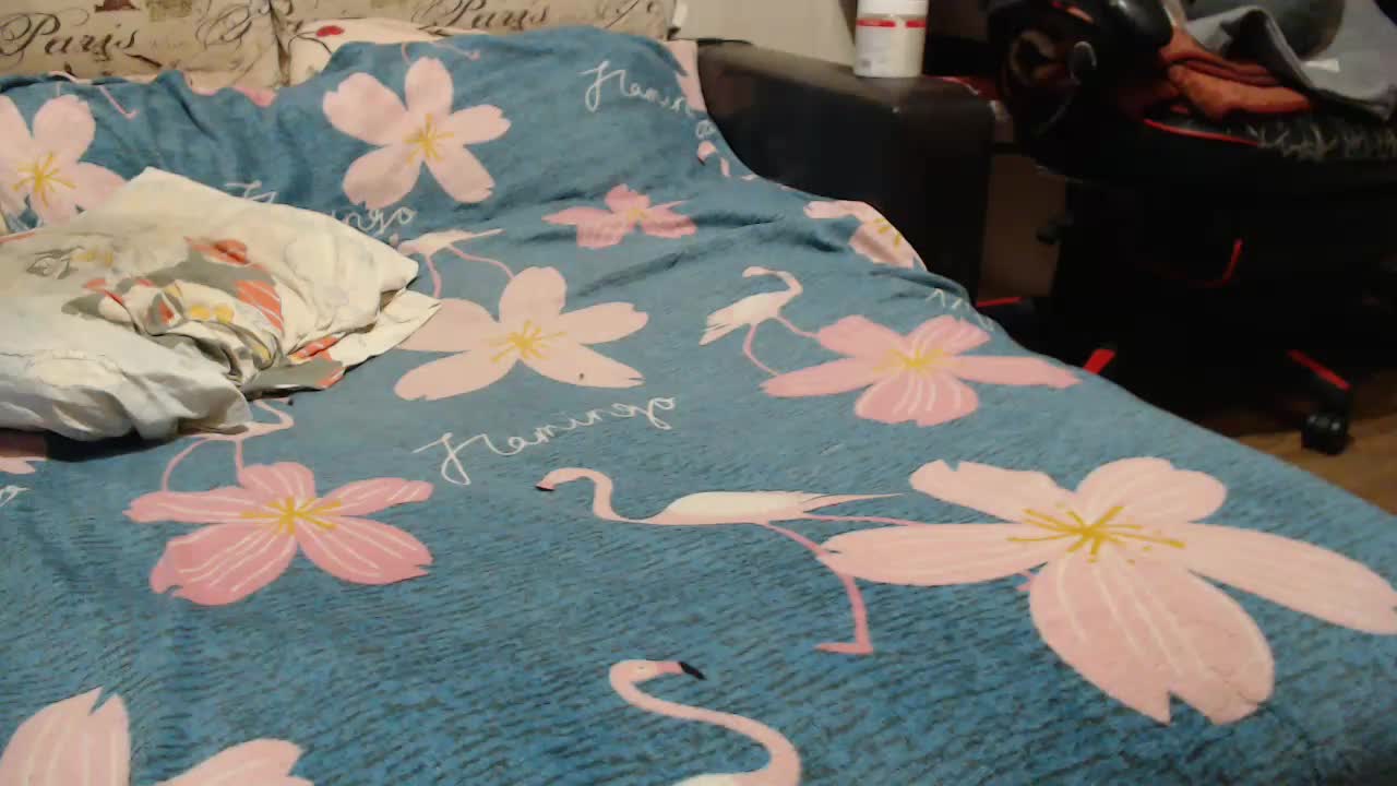 GospohaXXX Adult Chat November 14, 2025