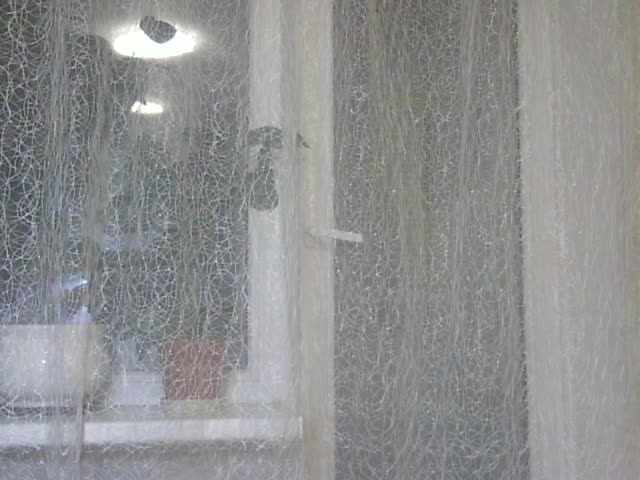 Daniella854 Adult Chat November 14, 2025