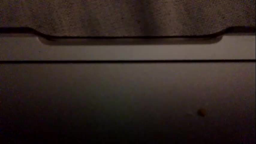 daniellbisous Adult Chat November 14, 2025