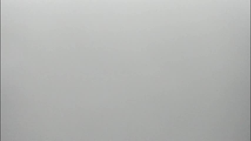 synop_sis Adult Chat November 14, 2025