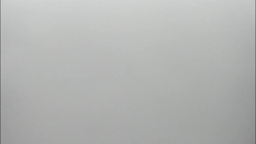 synop_sis Adult Chat November 14, 2025