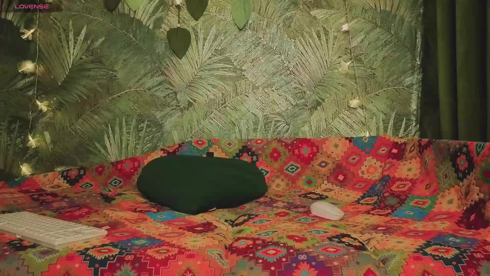 Meeeeow Adult Chat November 14, 2025