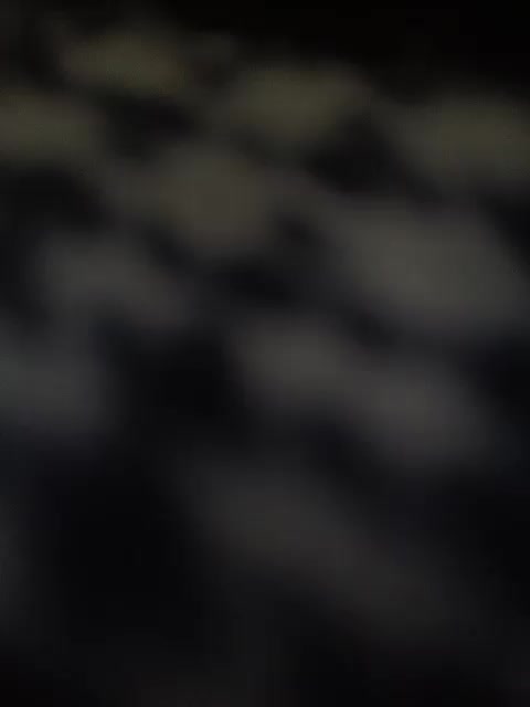 SG-310 Adult Chat November 14, 2025