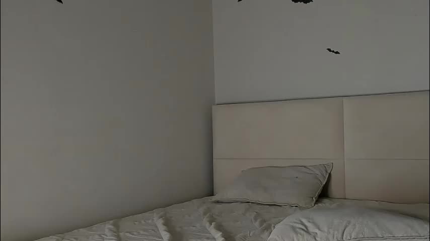 amy1_1 Adult Chat November 14, 2025