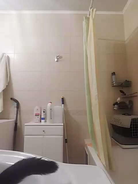 KlientVsegdaPrav Adult Chat November 14, 2025