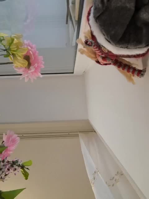 Napoliana Adult Chat November 14, 2025