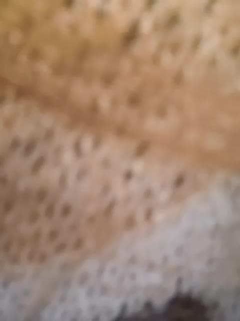 Napoliana Adult Chat November 14, 2025