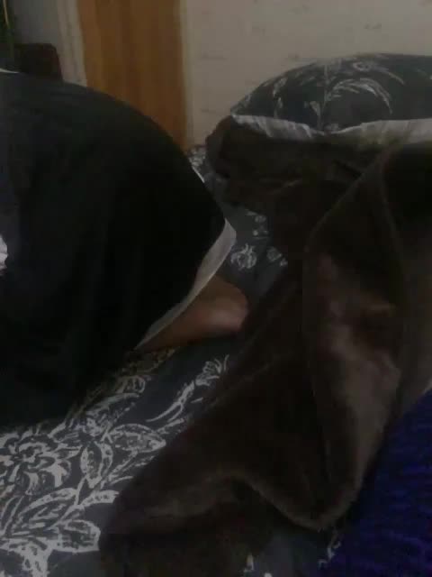 KisasexAlex Adult Chat November 15, 2025