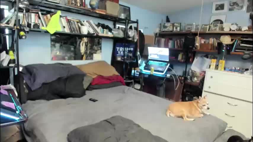 pink_black Adult Chat November 15, 2025