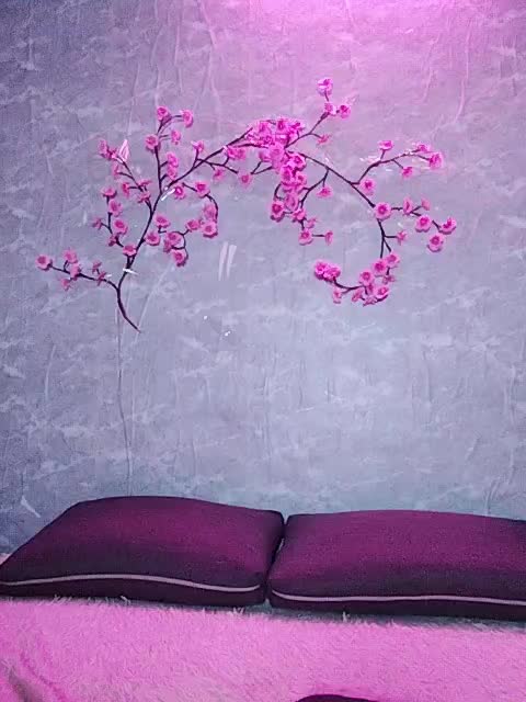 SexyKitty75-1 Adult Chat November 15, 2025