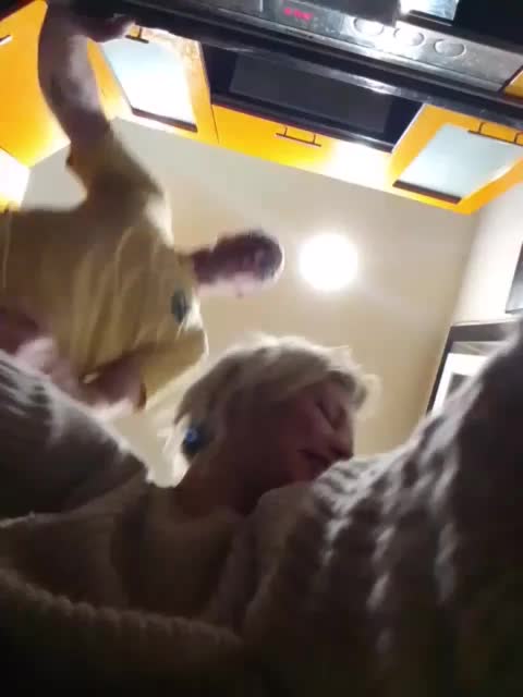 TilyTily Adult Chat November 15, 2025