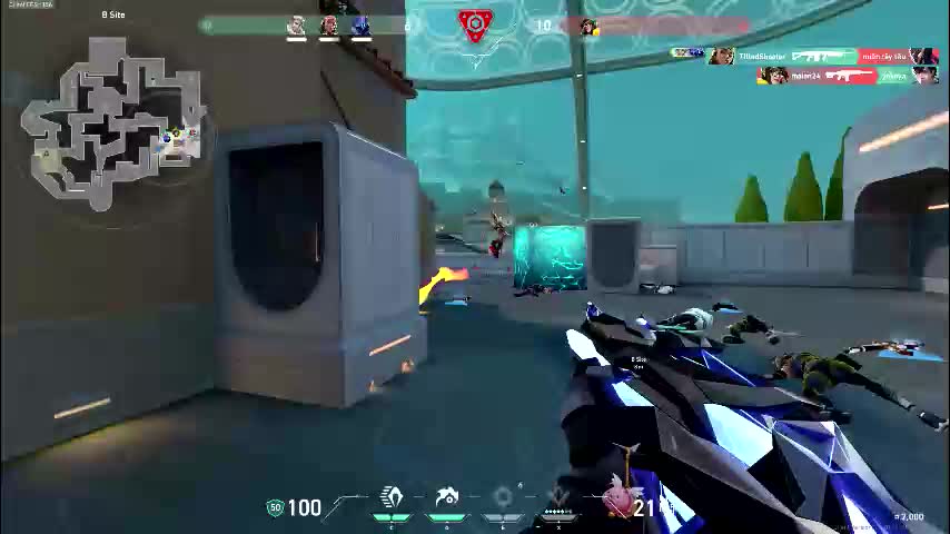 dollybm Adult Chat November 16, 2025