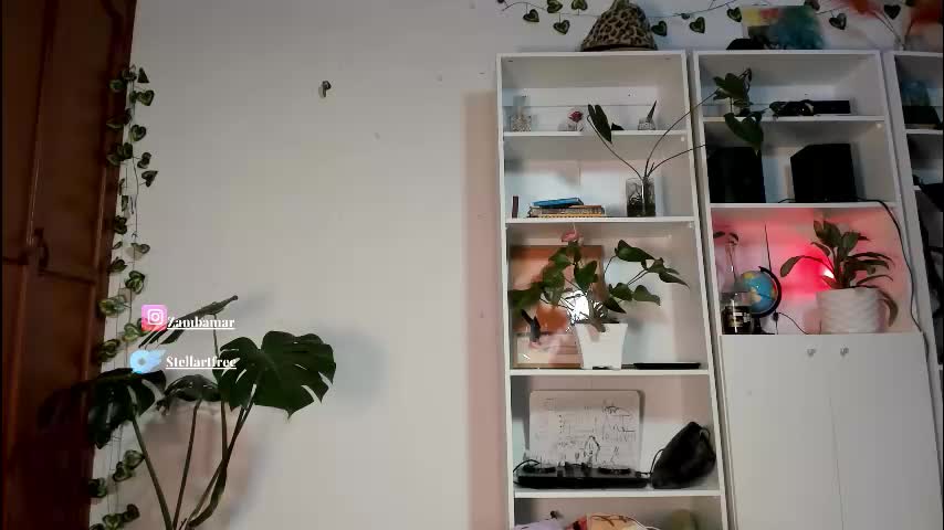 stellart_ Adult Chat November 16, 2025