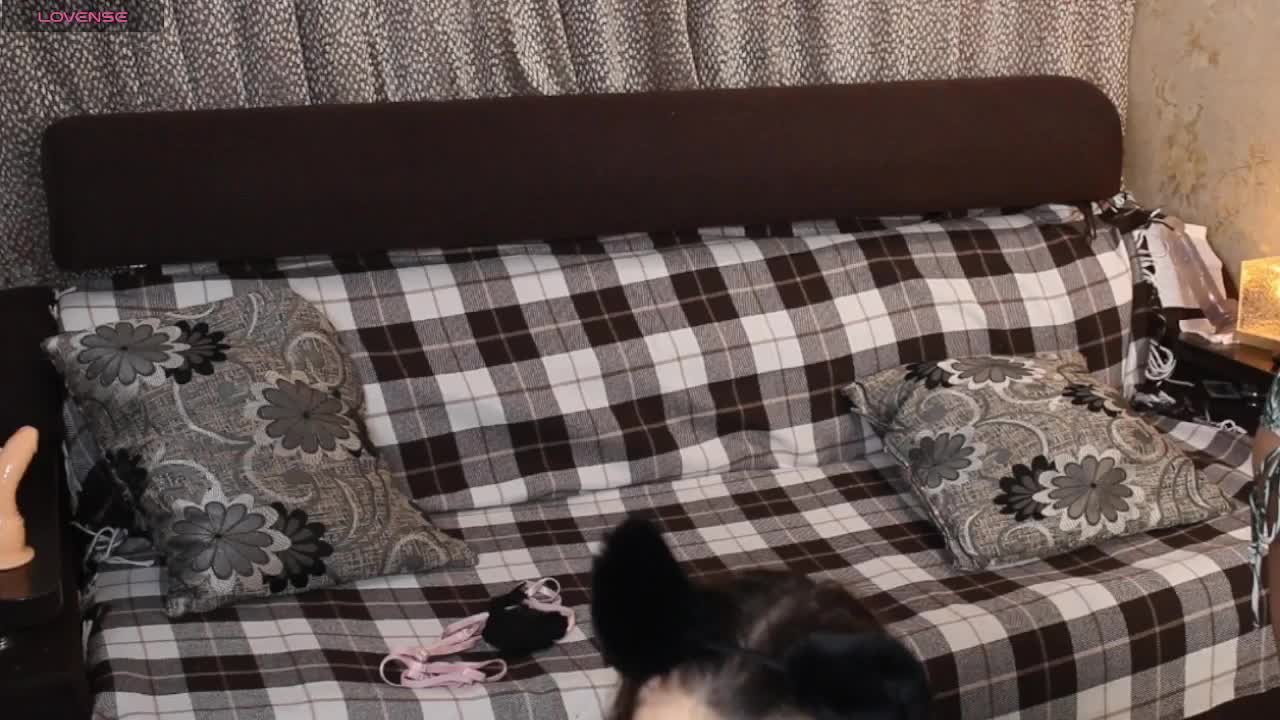 _Sunshine_ Adult Chat November 16, 2025