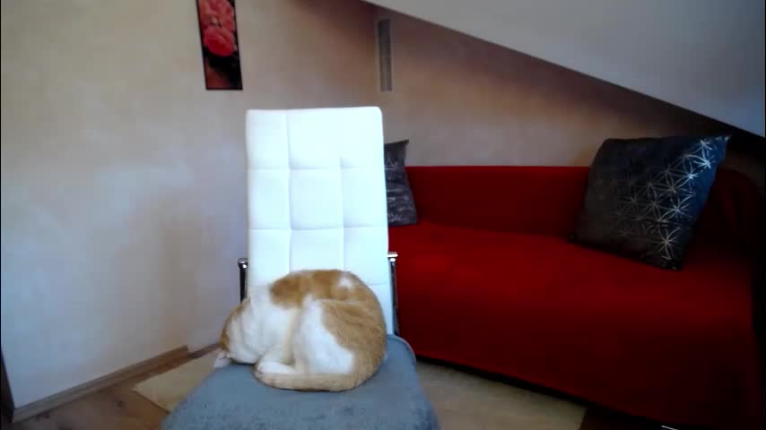 kathylovexxx Adult Chat November 16, 2025