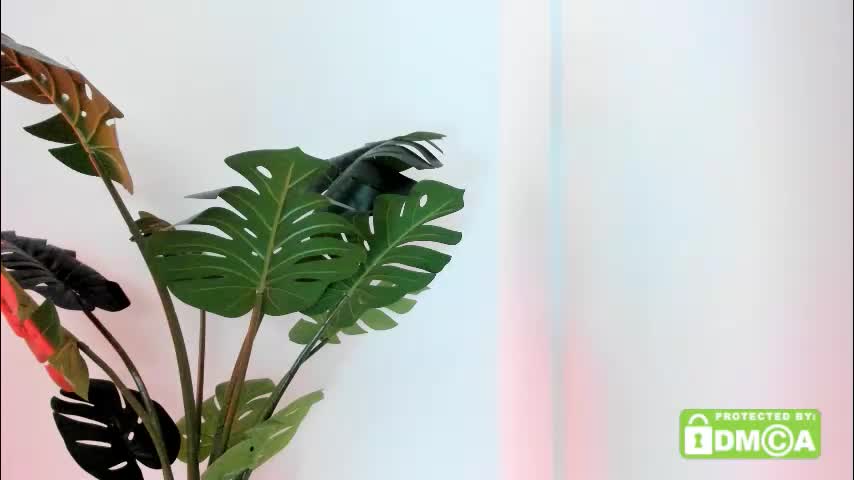 ashllovee_ Adult Chat November 16, 2025