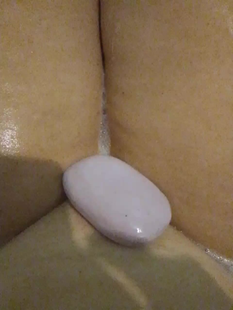 EVIL_TITS Adult Chat November 16, 2025