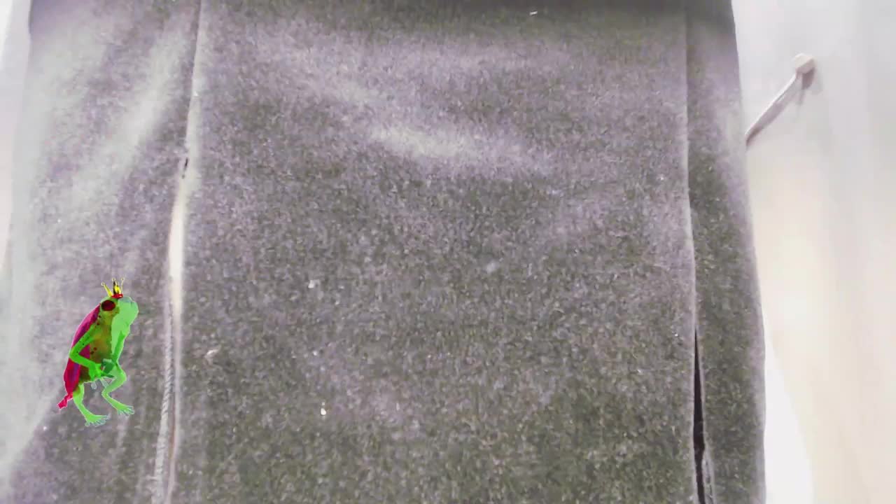 Va-len-cia Adult Chat November 16, 2025