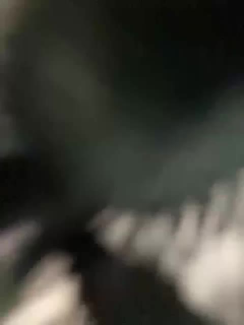 Essss33331 Adult Chat November 16, 2025