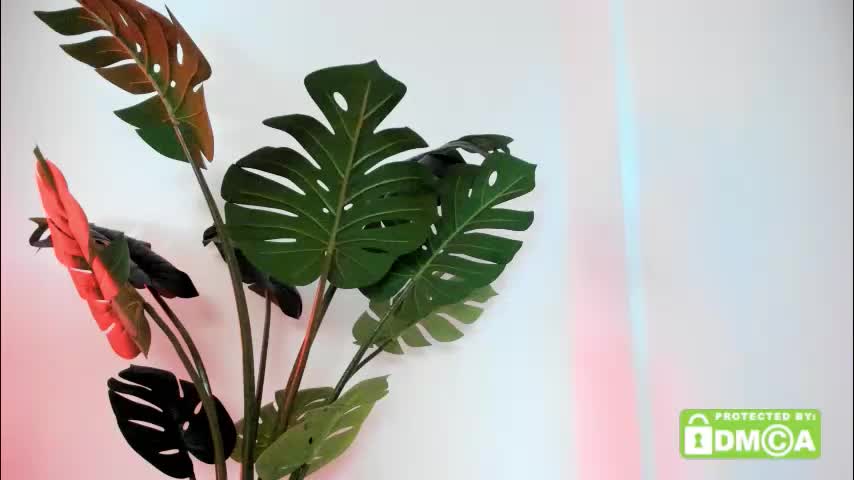 ashllovee_ Adult Chat November 16, 2025