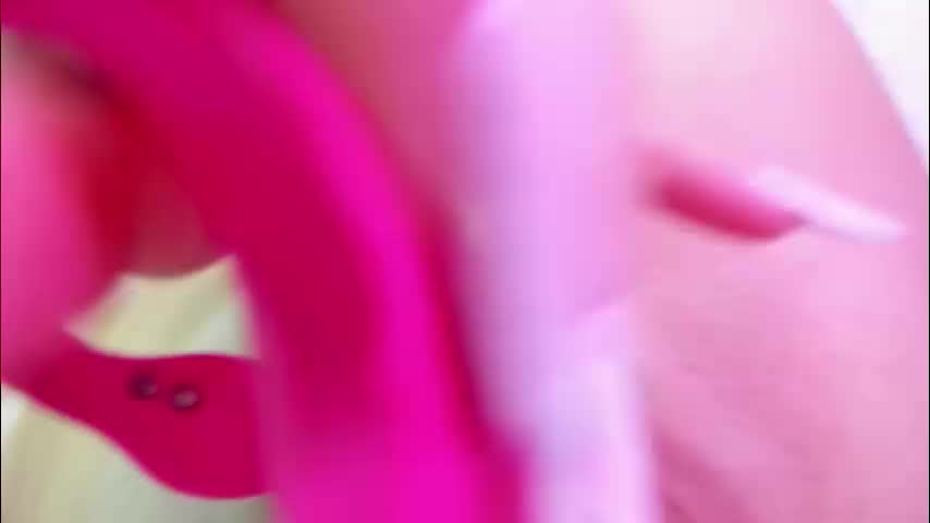 lissababe11 Adult Chat November 17, 2025