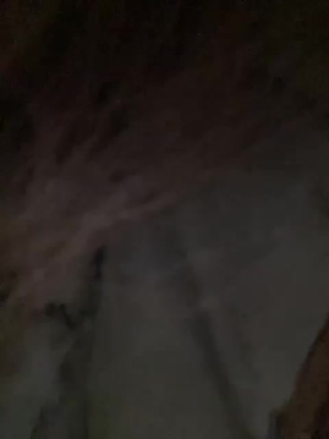 Peppapigi Adult Chat November 17, 2025