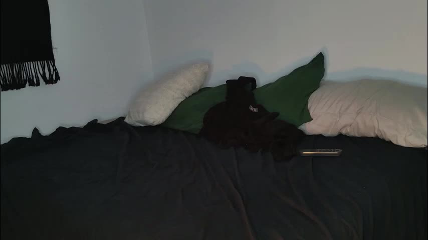 jackdesfeux Adult Chat November 17, 2025