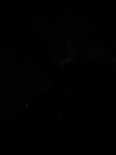 N-I-M-F-O-M-A-N-K-A Adult Chat November 17, 2025