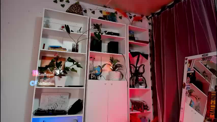 stellart_ Adult Chat November 17, 2025