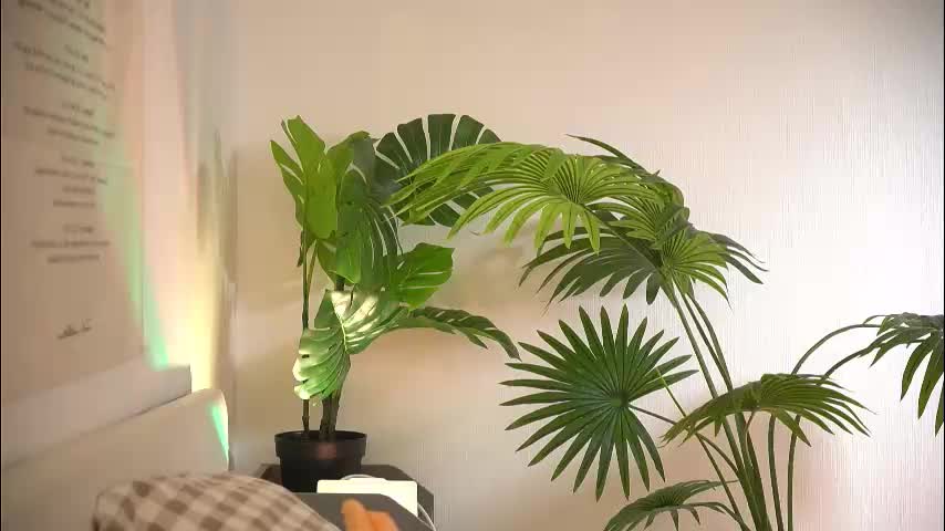 baby_bub Adult Chat November 17, 2025