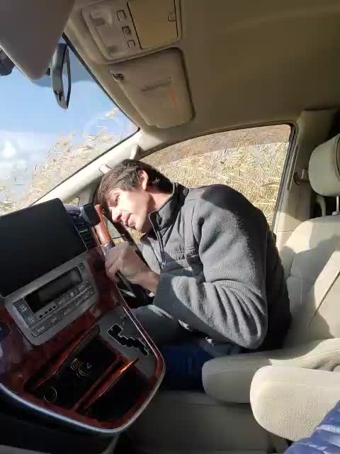 Alex80-201 Adult Chat November 17, 2025