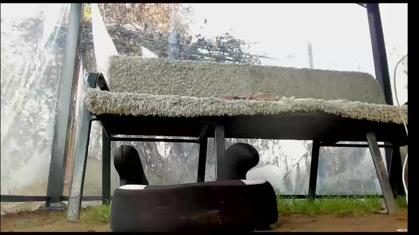 you_love_melisa Adult Chat November 17, 2025