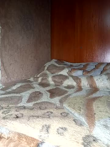 Holly_Bette Adult Chat November 17, 2025